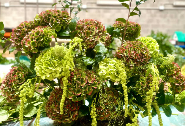Taller de preparación de composiciones florales
